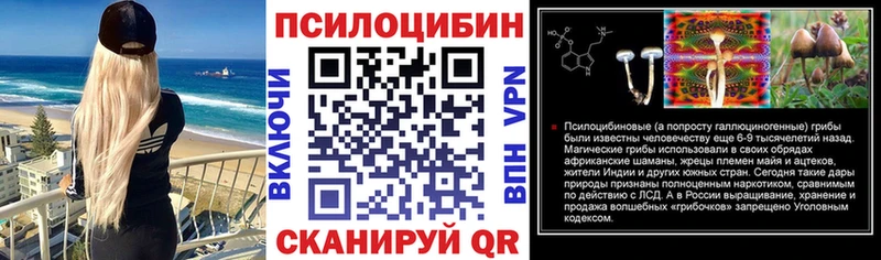 Галлюциногенные грибы Psilocybine cubensis  Омутнинск 